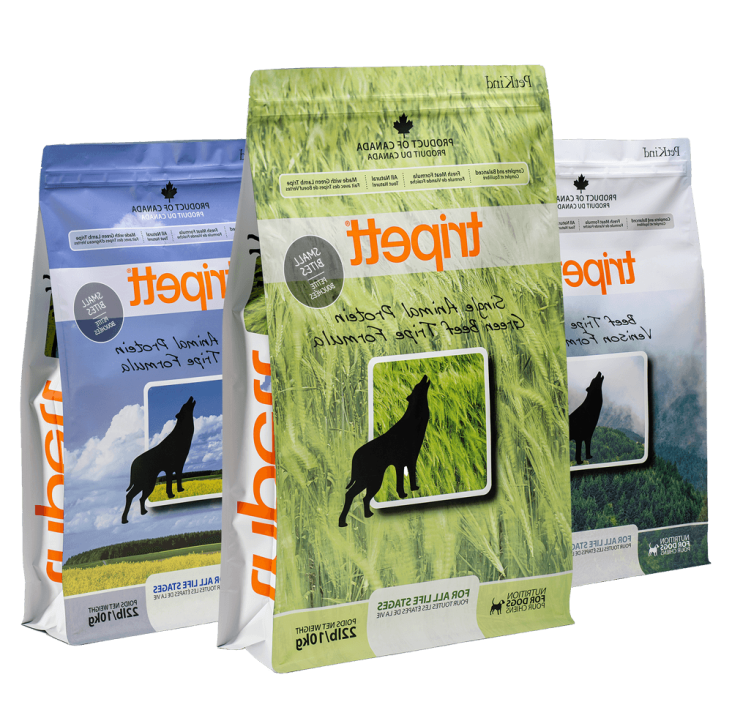 غذای سالم سگ