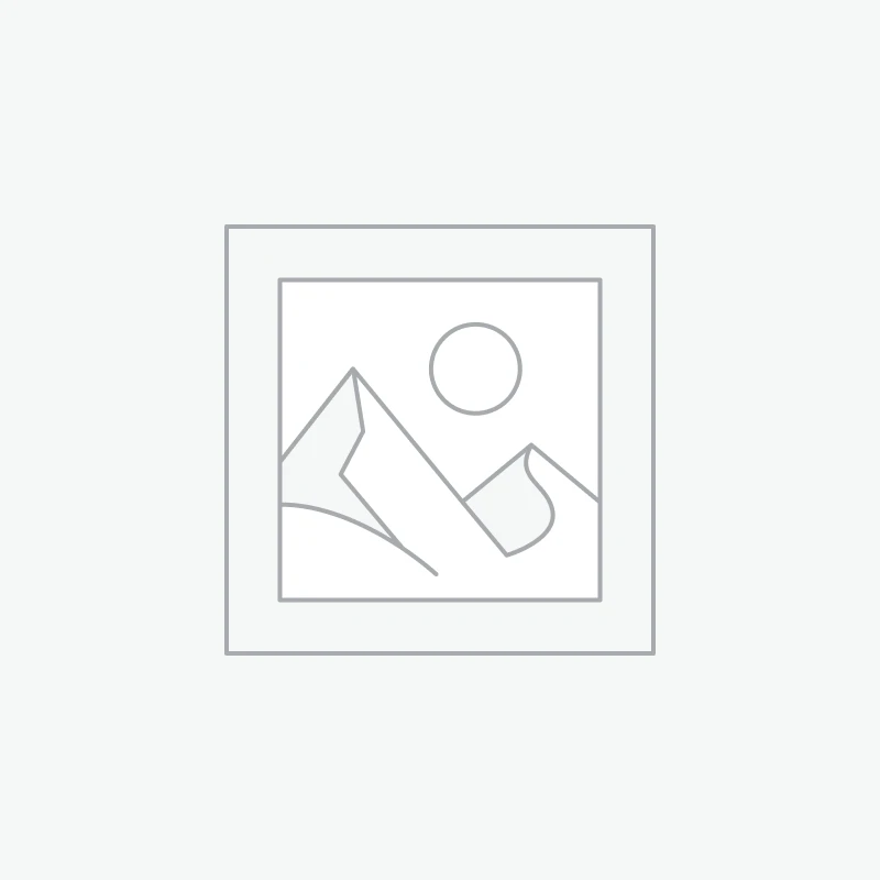 تغذیه خودکار حیوانات خانگی