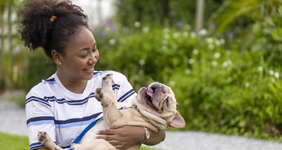 11869675-afrikansk-amerikan-kvinna-ar-spelar-med-henne-franska-bulldogg-valp-medan-gaende-i-de-hund-parkera-pa-gras-grasmatta-after-har-morgon-ovning-under-de-sommar-foota-gratis 11869675-afrikansk-amerikan-kvinna-ar-spelar-med-henne-franska-bulldogg-valp-medan-gaende-i-de-hund-parkera-pa-gras-grasmatta-after-har-morgon-ovning-under-de-sommar-foota-gratis