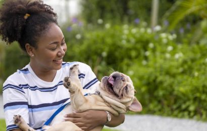 11869675-afrikansk-amerikan-kvinna-ar-spelar-med-henne-franska-bulldogg-valp-medan-gaende-i-de-hund-parkera-pa-gras-grasmatta-after-har-morgon-ovning-under-de-sommar-foota-gratis