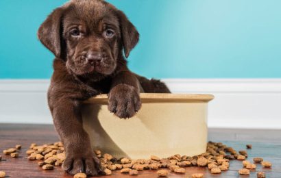 UPS66CWOGRDYPNHN27TA5ESREM