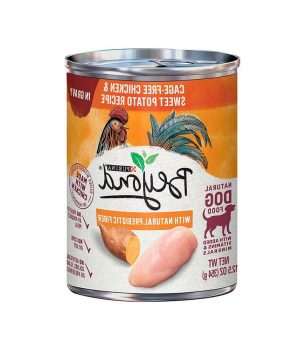 بهترین غذای ارگانیک