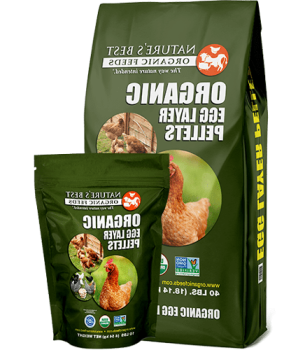 بهترین خوراک های ارگانیک