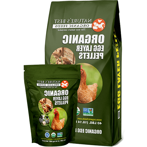 بهترین خوراک های ارگانیک