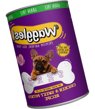 میوه سبز پاپایا