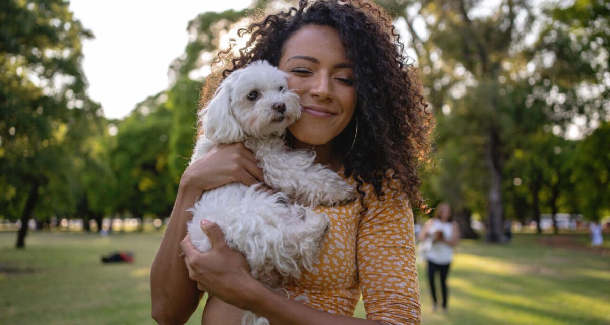 بانوی جوان در آغوش گرفتن یک سگ سفید کوچک بانوی جوان در آغوش گرفتن یک سگ سفید کوچک